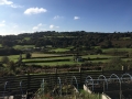 garden-buildings-cornwall-08